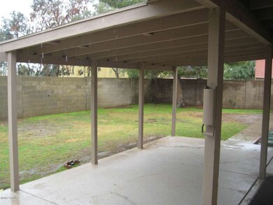 Backyard 1