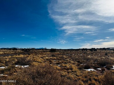 3584 E Wingfield Rd, Grand Canyon Junction, AZ 86046 - photo 6