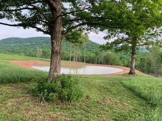 14114 Madison 3605, Kingston, AR 72742 - photo 7