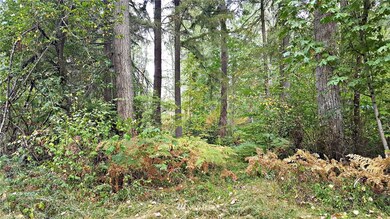 0 128th Ave E unit 1195099, Graham, WA 98338 - photo 7