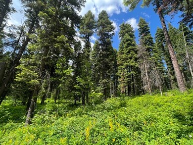 TBD Grouse Trail unit 6A-57, Donnelly, ID 83615 - photo 5