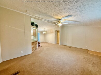 630 Trace Creek Rd, Hamlin, WV 25523 - photo 4