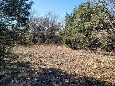 TBD Lot 6 Dill Rd, Weatherford, TX 76085 - photo 2