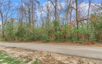 7119 Burr Oak Trace, Magnolia, TX 77354 - photo 6