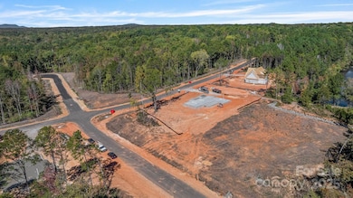 Lot 37 Snow Goose Walk Ct, Clover, SC 29710 - photo 6