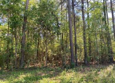 000 Trace Rd, Laurel, MS 39443 - photo 3
