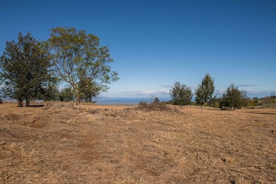 0 Naele Rd unit 408110, Kula, HI 96790 - photo 4