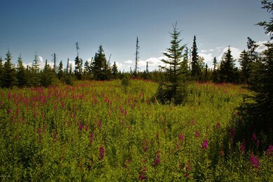C13 Alaskan Wildwood Ranch(r), Nikolaevsk, AK 99556 - photo 6