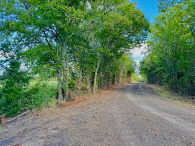 1992 County Road 2100, Cooper, TX 75432 - photo 4