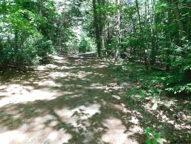 0 Slicker Rd unit Shippee Rd Rear, Day, NY 12822 - photo 3