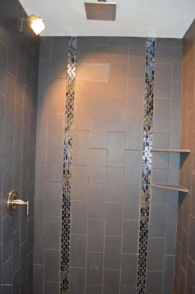 Camelback Shower 2