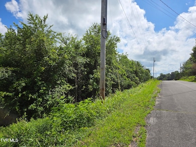 Pelican Lane
