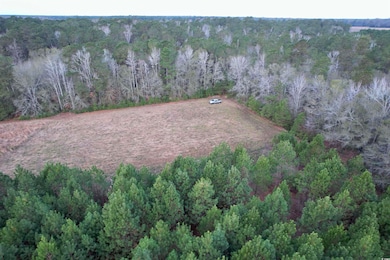 Lot 1 - TBD New Pine Rd, Johnsonville, SC 29555 - photo 4