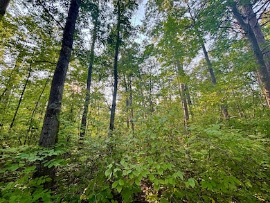 .55A On N Scipio Ave, Bass Lake, WI 54843 - photo 2