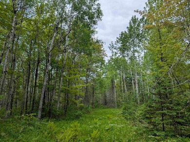 80 Acres Near Tar Paper Aly, Orienta, WI 54820 - photo 3