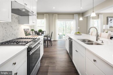 6734 American Holly Dr, Frederick, MD 21703 - photo 4