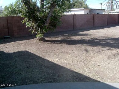 023-271325 - Backyard