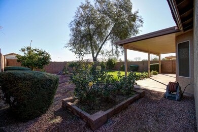 Rose Garden & Fruit Trees