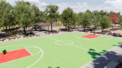 Basketball Court