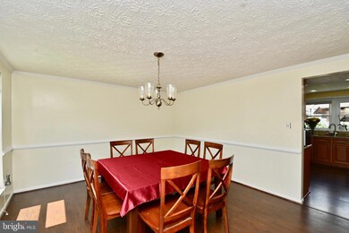 7802 Cyril Place, Springfield, VA 22153 - photo 7
