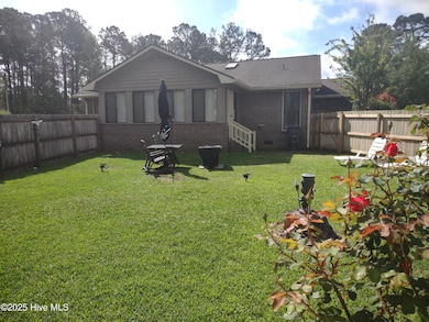 yard back