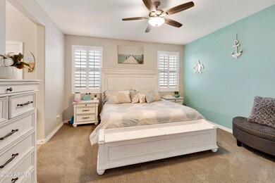 PRIMARY BED