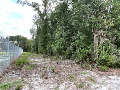 3887 Old Salkehatchie Rd, Early Branch, SC 29916 - photo 5