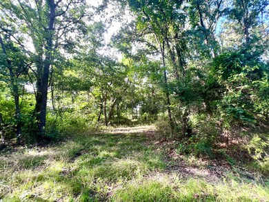 12295 S Bee Emet Rd, Milburn, OK 73450 - photo 4