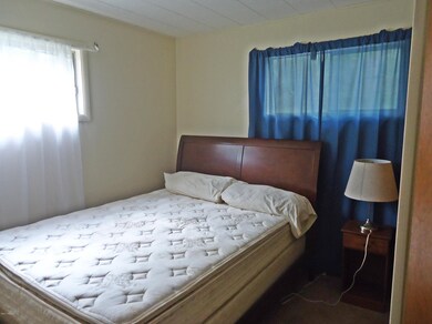 11291 Bridge St, Baldwin, MI 49304 - photo 7