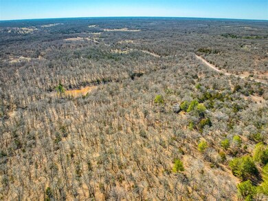 View of bird's eye view