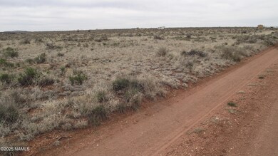 2424 E Valle Rd, Williams, AZ 86046 - photo 7
