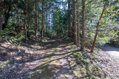 21928 183rd Ave SE, Yelm, WA 98597 - photo 6