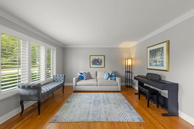 816 Spindletree Ave, Naperville, IL 60565 - photo 5