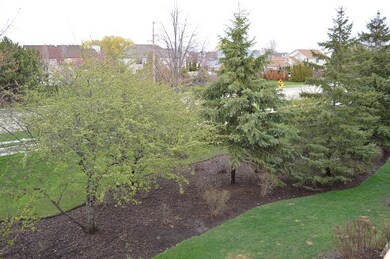 2062 Peach Tree Ln unit 2062, Algonquin, IL 60102 - photo 5