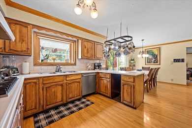 unlisted-address, Glenview, IL 60025 - photo 5