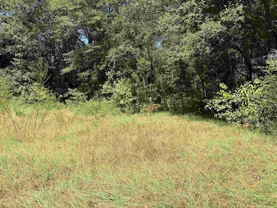 10 Blue Waters Ct, Woodville, FL 32305 - photo 2