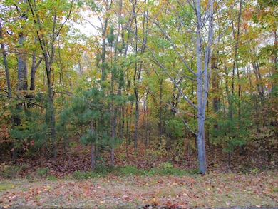 Ponderosa Court