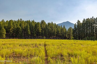 9199 Ranch at the Peaks Way, Flagstaff, AZ 86001 - photo 6