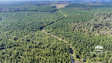 XX1 Highway 2, Campbellton, FL 32426 - photo 6