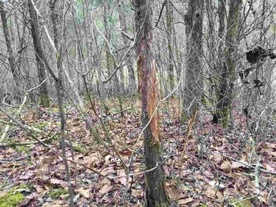 0 Central Pike, Harrodsburg, KY 40330 - photo 5