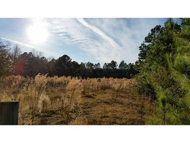 Land/Lot. Pasture 1 fenced1