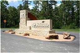 1049 Autumnwood Dr, Magnolia, TX 77354 - photo 4