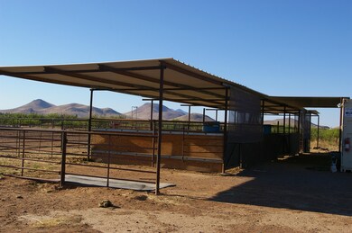 Horse Facilities