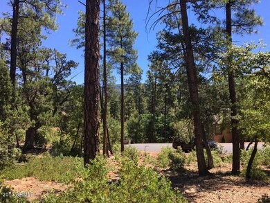 37 Strawberry Hollow Dr unit 37, Pine, AZ 85544 - photo 4