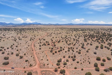 3628 E Valencia Rd unit Lot J, Williams, AZ 86046 - photo 5