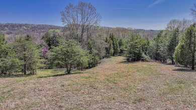 DJI_20250401141426_0262_D-HDR