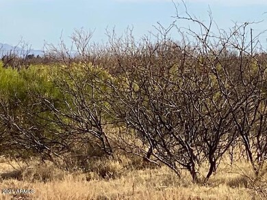 IMG_1117