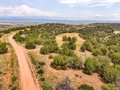 TBD Lot 8 Newlin Ridge Rd unit 8, Florence, CO 81226 - photo 2
