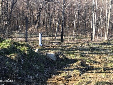 unlisted-address, Florida, MA 01247 - photo 4