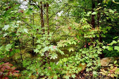 Lot 10 Dobsons Knob Loop Rd unit 10, North Cove, NC 28752 - photo 7